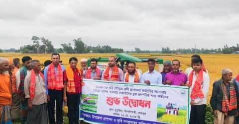 ঝিনাইগাতীতে সমলয়ে বোরো ধানের শস্য কর্তনের উদ্বোধন