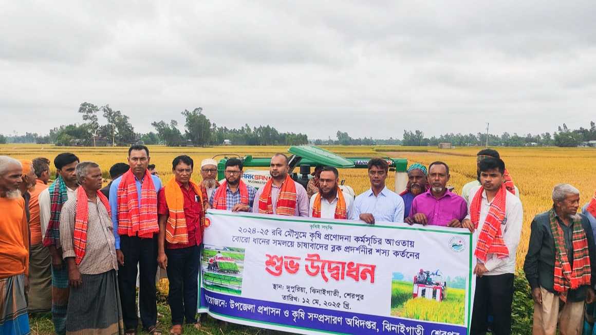 ঝিনাইগাতীতে সমলয়ে বোরো ধানের শস্য কর্তনের উদ্বোধন